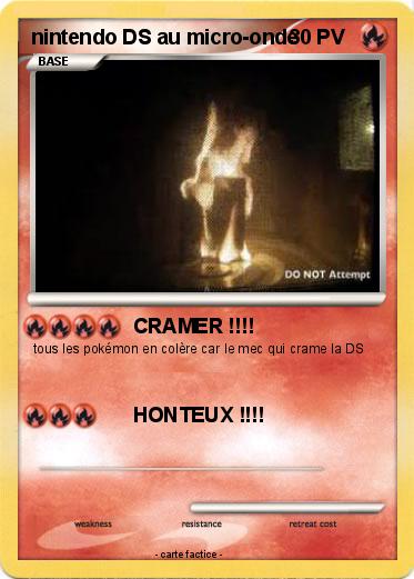 Pokemon nintendo DS au micro-onde