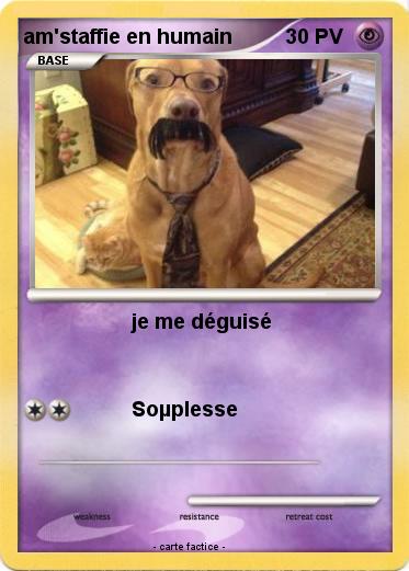 Pokemon am'staffie en humain