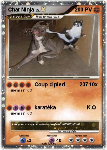 Pokemon Chat Ninja