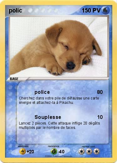 Pokemon polic
