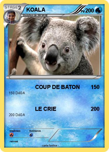 Pokemon KOALA