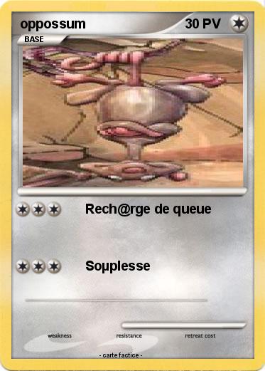 Pokemon oppossum