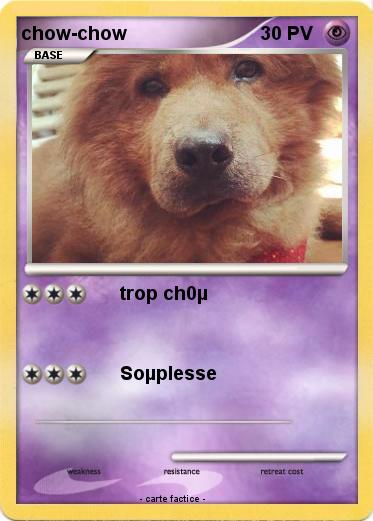 Pokemon chow-chow