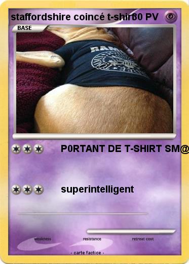 Pokemon staffordshire coincé t-shirt