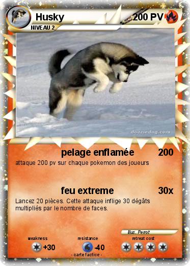 Pokemon Husky