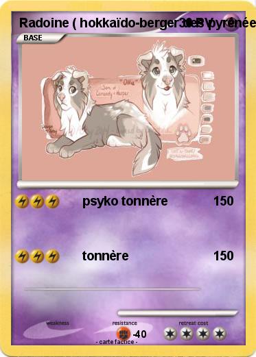Pokemon Radoine ( hokkaïdo-berger des pyrénées mix )
