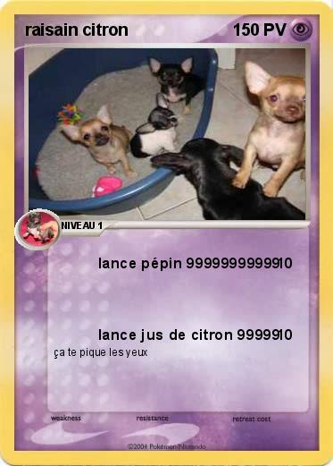 Pokemon raisain citron