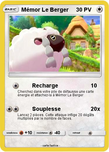 Pokemon Mémor Le Berger