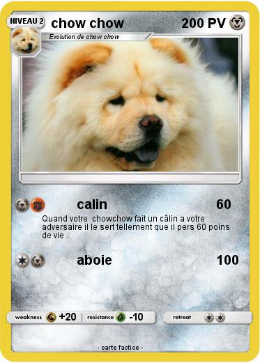 Pokemon chow chow