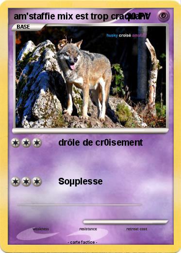 Pokemon am'staffie mix est trop craquant