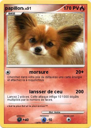 Pokemon papillon