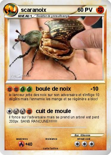 Pokemon scaranoix