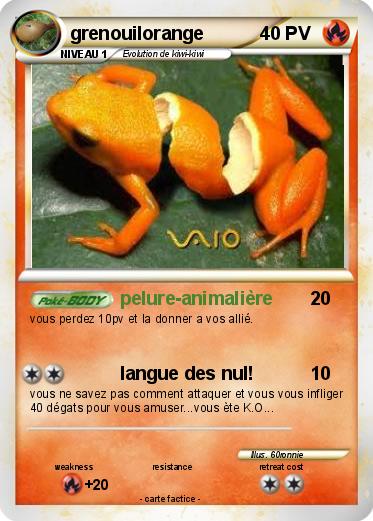 Pokemon grenouilorange