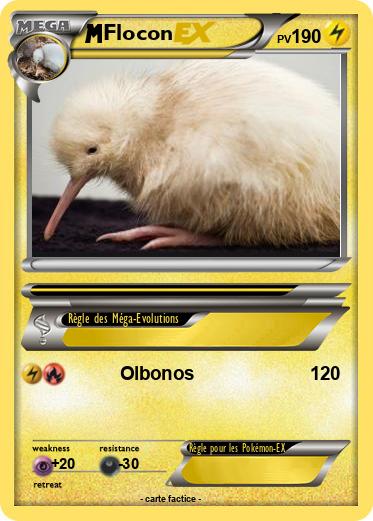 Pokemon Flocon