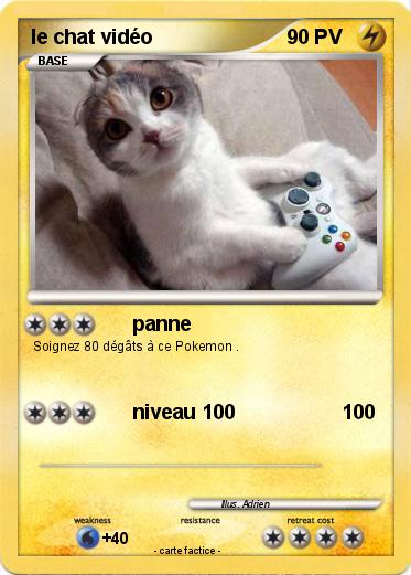 Pokemon le chat vidéo