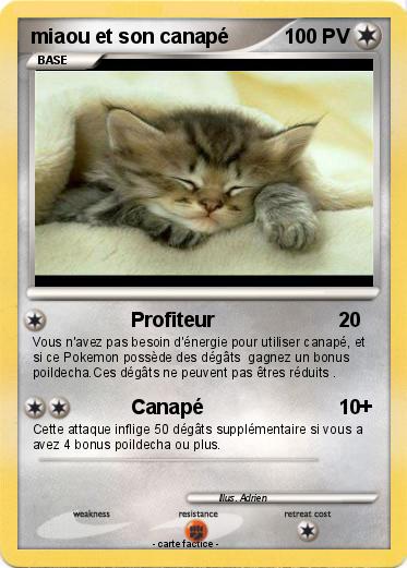 Pokemon miaou et son canapé