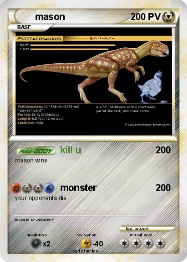 Pokemon mason