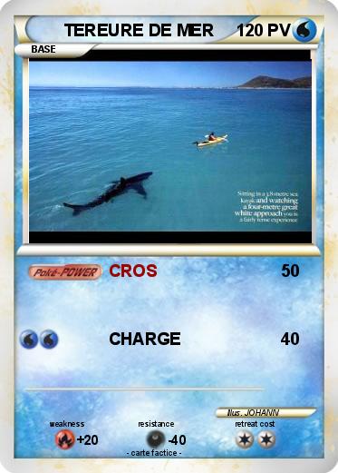 Pokemon TEREURE DE MER