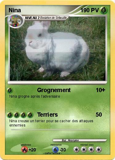 Pokemon Nina