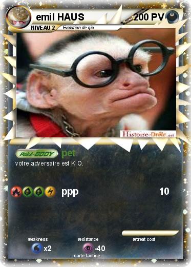 Pokemon emil HAUS