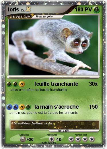 Pokemon loris