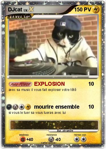 Pokemon DJcat