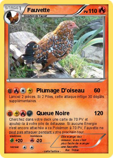 Pokemon Fauvette