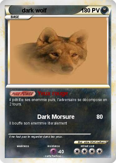 Pokemon dark wolf