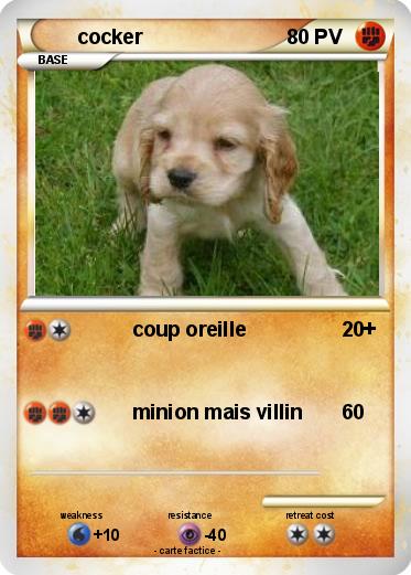 Pokemon cocker
