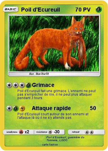 Pokemon Poil d'Ecureuil