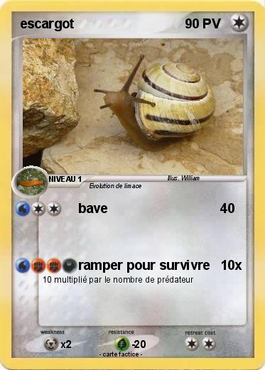 Pokemon escargot