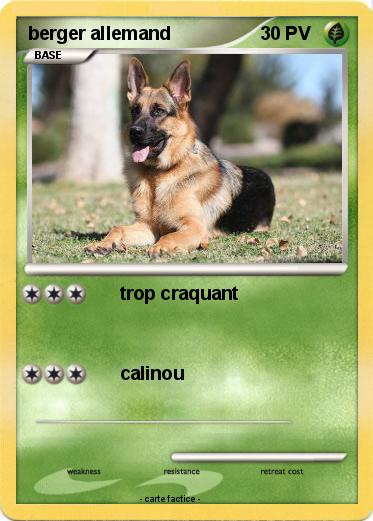 Pokemon berger allemand