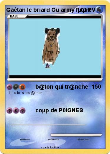Pokemon Gaétan le briard Ōu army fµtµre