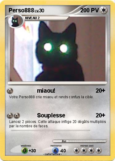 Pokemon Perso888