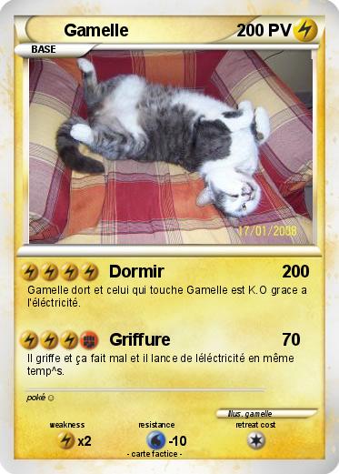 Pokemon Gamelle