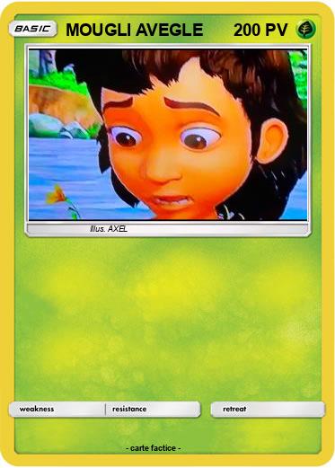 Pokemon MOUGLI AVEGLE