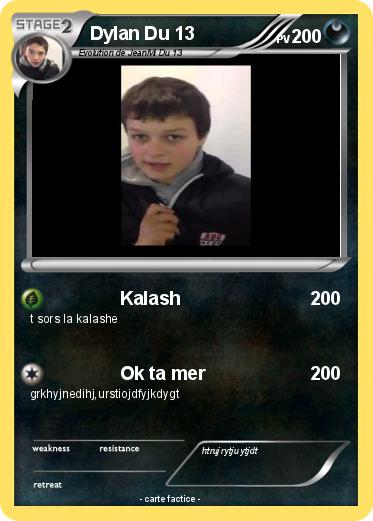 Pokemon Dylan Du 13