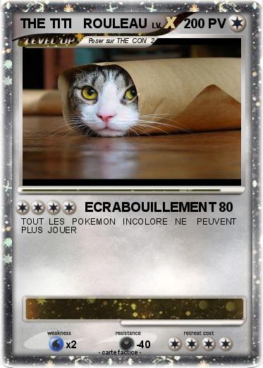 Pokemon THE TITI   ROULEAU