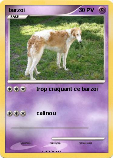 Pokemon barzoi