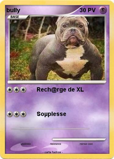 Pokemon bully