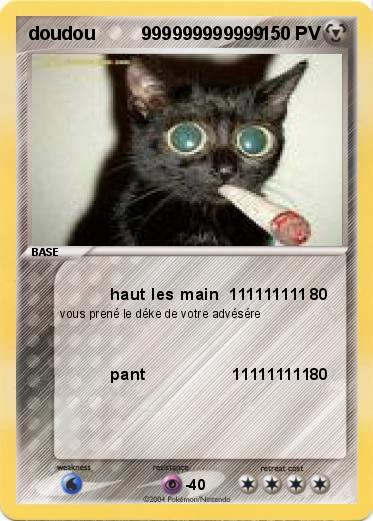 Pokemon doudou         999999999999