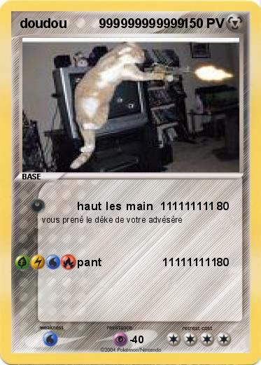 Pokemon doudou         999999999999