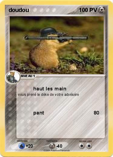 Pokemon doudou