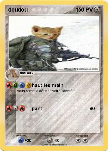 Pokemon doudou