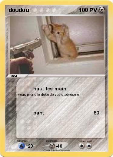 Pokemon doudou