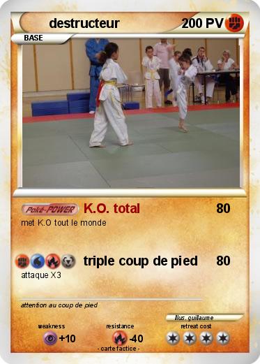 Pokemon destructeur