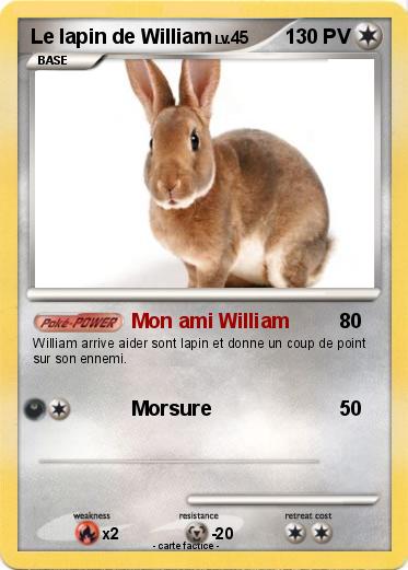 Pokemon Le lapin de William
