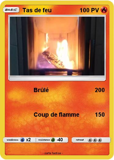 Pokemon Tas de feu