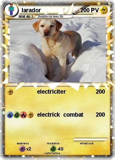 Pokemon larador