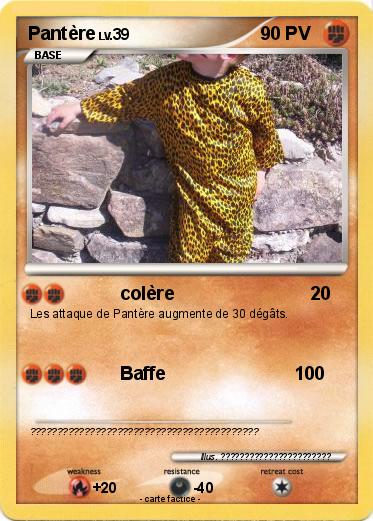 Pokemon Pantère